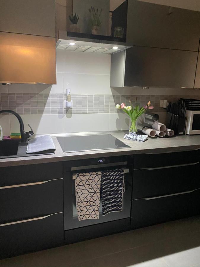 Apartament Lexi Timişoara